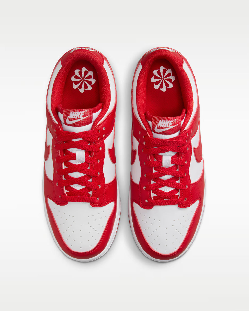 Buy Nike Dunk Low Next Nature Online in Nepal - Online Shopping Nepal - Online Clothing Shop Nepal